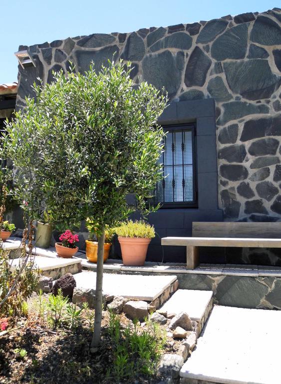 Casa Vista Bandama Vivienda Vacacional Tafira Εξωτερικό φωτογραφία
