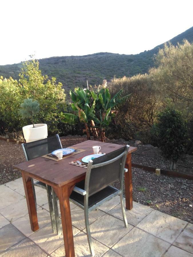 Casa Vista Bandama Vivienda Vacacional Tafira Εξωτερικό φωτογραφία